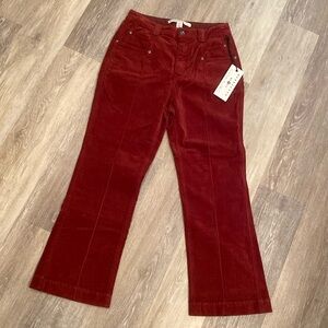 NWT! MARRAKECH Brielle Velveteen Cropped Pants In Paprika - Size XS